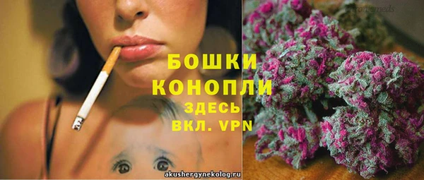 apvp Володарск