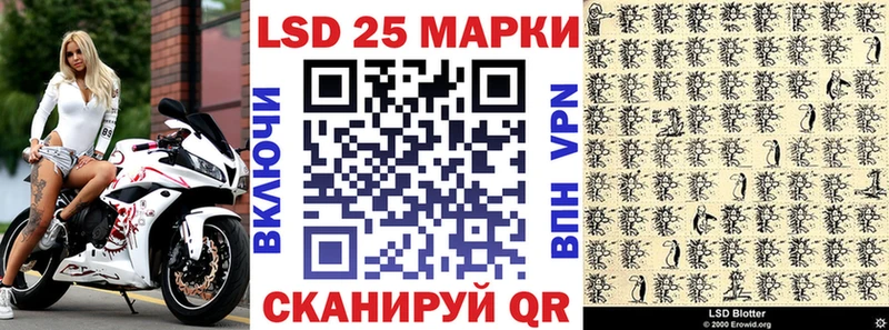 что такое наркотик  Каргополь  Наркотические марки 1500мкг 