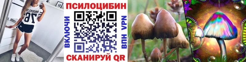 хочу наркоту  Каргополь  Галлюциногенные грибы ЛСД 